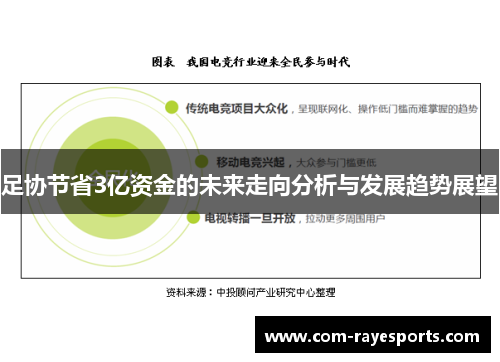 足协节省3亿资金的未来走向分析与发展趋势展望