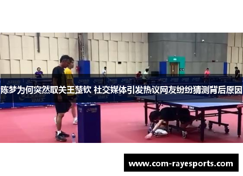 陈梦为何突然取关王楚钦 社交媒体引发热议网友纷纷猜测背后原因