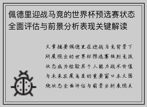 佩德里迎战马竞的世界杯预选赛状态全面评估与前景分析表现关键解读